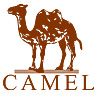 camel骆微信号